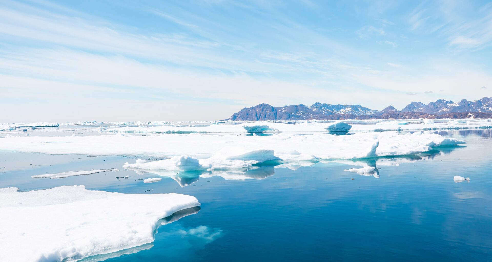 Safeguarding the Arctic: Coordination, cooperation, and burden-sharing