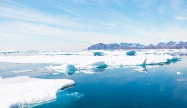 Safeguarding the Arctic: Coordination, cooperation, and burden-sharing