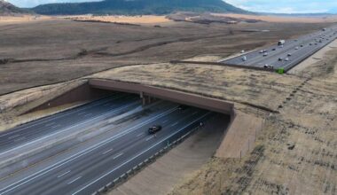 North America’s Largest Wildlife Overpass Opens for Animals to Safely Cross in Colorado