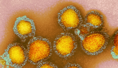 Infectious Information 3/14/2026