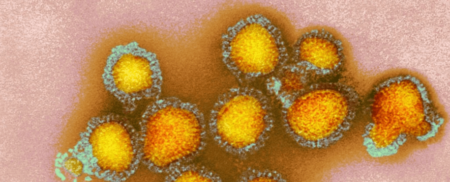 Infectious Information 3/14/2026