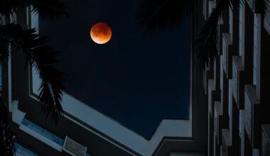 Resort observatory program on Maui zooms in on ‘blood moon’ during lunar eclipse : Maui Now