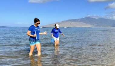 South Maui’s saltier, more turbid waters could signal drought is taking a toll : Maui Now