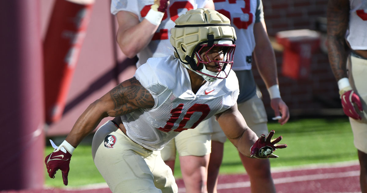 Florida State linebacker Chris Jones, who transferred in from Southern Miss. (Gene Williams/Warchant)