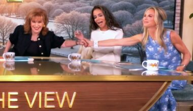 Joy Behar, Elisabeth Hasselbeck stay silent on 'The View' drama