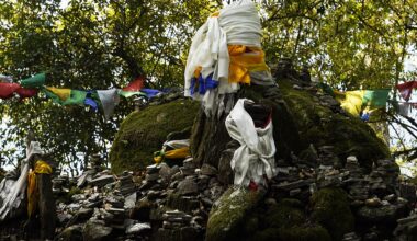 A sacred grove in Sikkim. Image by Amitabha Gupta via Wikimedia Commons (CC BY 4.0).