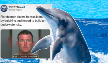 The man that was kidnapped by dolphins