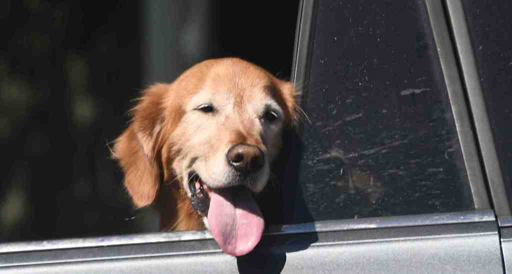 Record-breaking March heat wave raises fire danger, but not odds of a hotter summer – Orange County Register