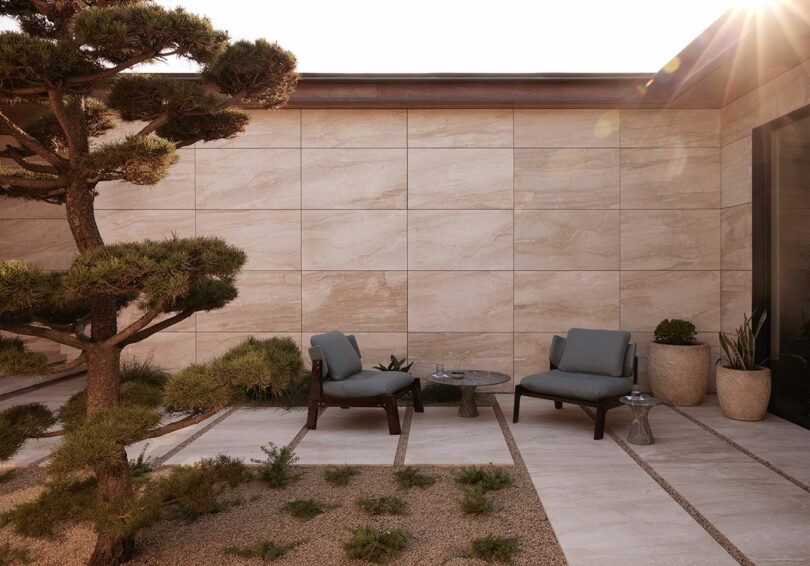 A minimalist patio with two cushioned chairs, a small round table, potted plants, and a sculpted tree against a tiled wall, lit by sunlight.