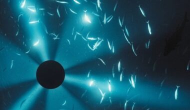 Laurel Halo: Midnight Zone (Original Soundtrack) Album Review