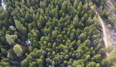 How fighting fires can accidentally solve the water crisis – Deseret News