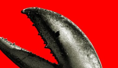 China’s OpenClaw Boom Is a Gold Rush for AI Companies