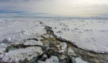 Nasa’s Anita Experiment Picked Up Strange Signals Beneath Antarctic Ice That Traveled Through Thousands Of Kilometers Of Rock And Should Not Exist