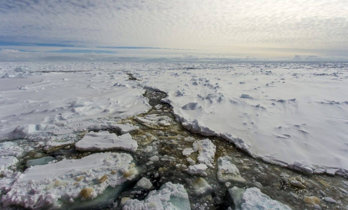 Nasa’s Anita Experiment Picked Up Strange Signals Beneath Antarctic Ice That Traveled Through Thousands Of Kilometers Of Rock And Should Not Exist