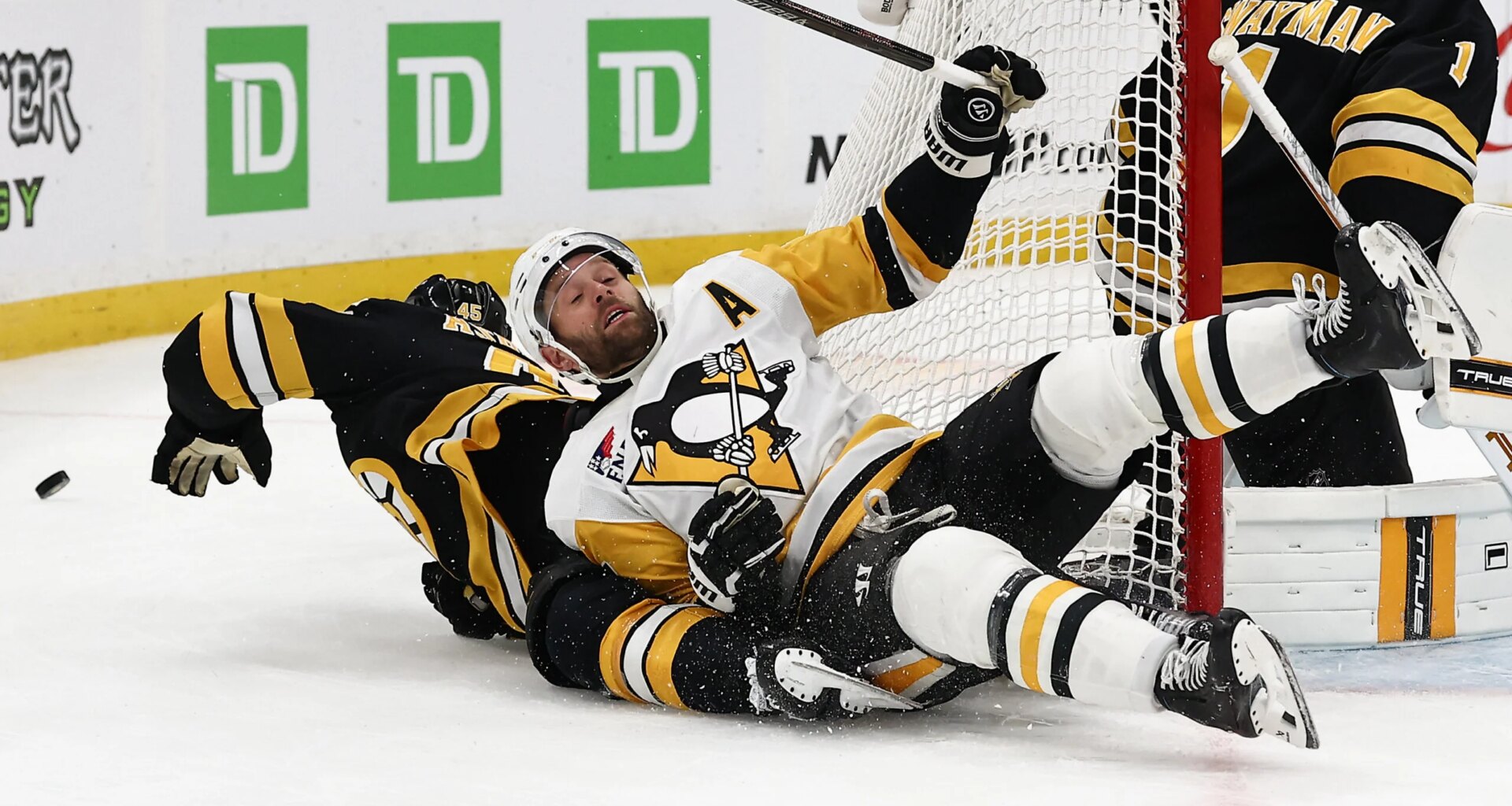 Issues Beginning to Dog Pens, Inside Frustrating Loss