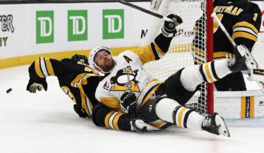 Issues Beginning to Dog Pens, Inside Frustrating Loss