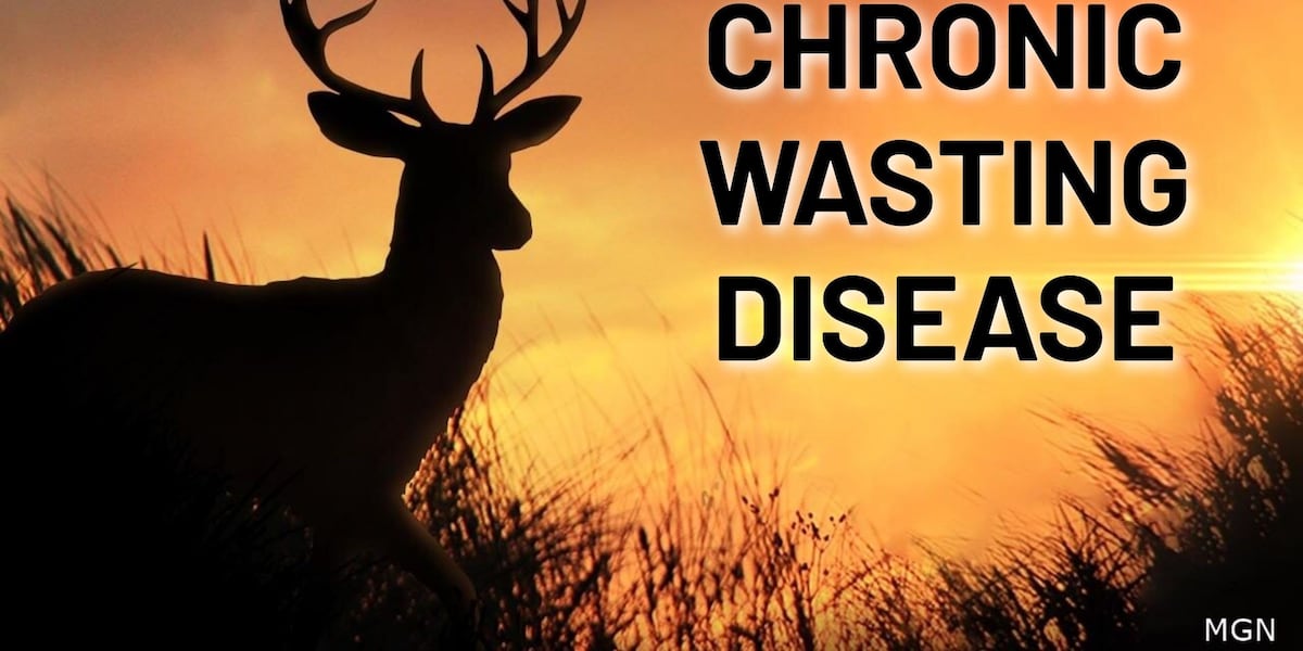 Chronic wasting disease found in another deer in Louisiana; 4 parishes now affected