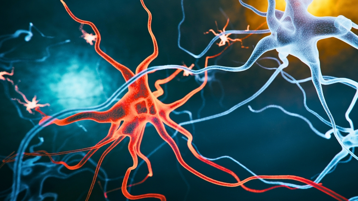 New Alzheimer's Treatment Strategy Reverses Cognitive Decline in Mice : ScienceAlert