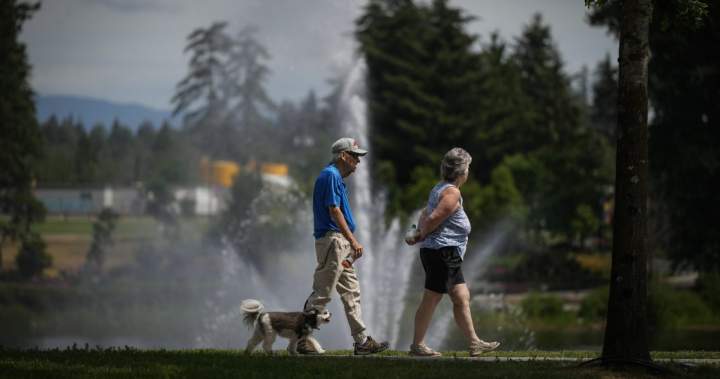 Trim OAS for higher income seniors? 73% says yes, new poll suggests - National