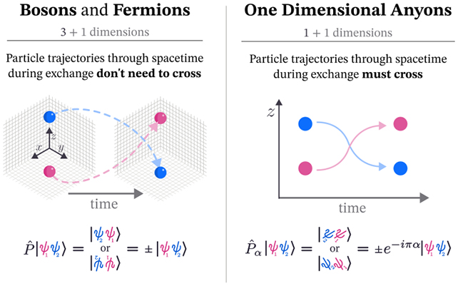 Particle actions and behaviour