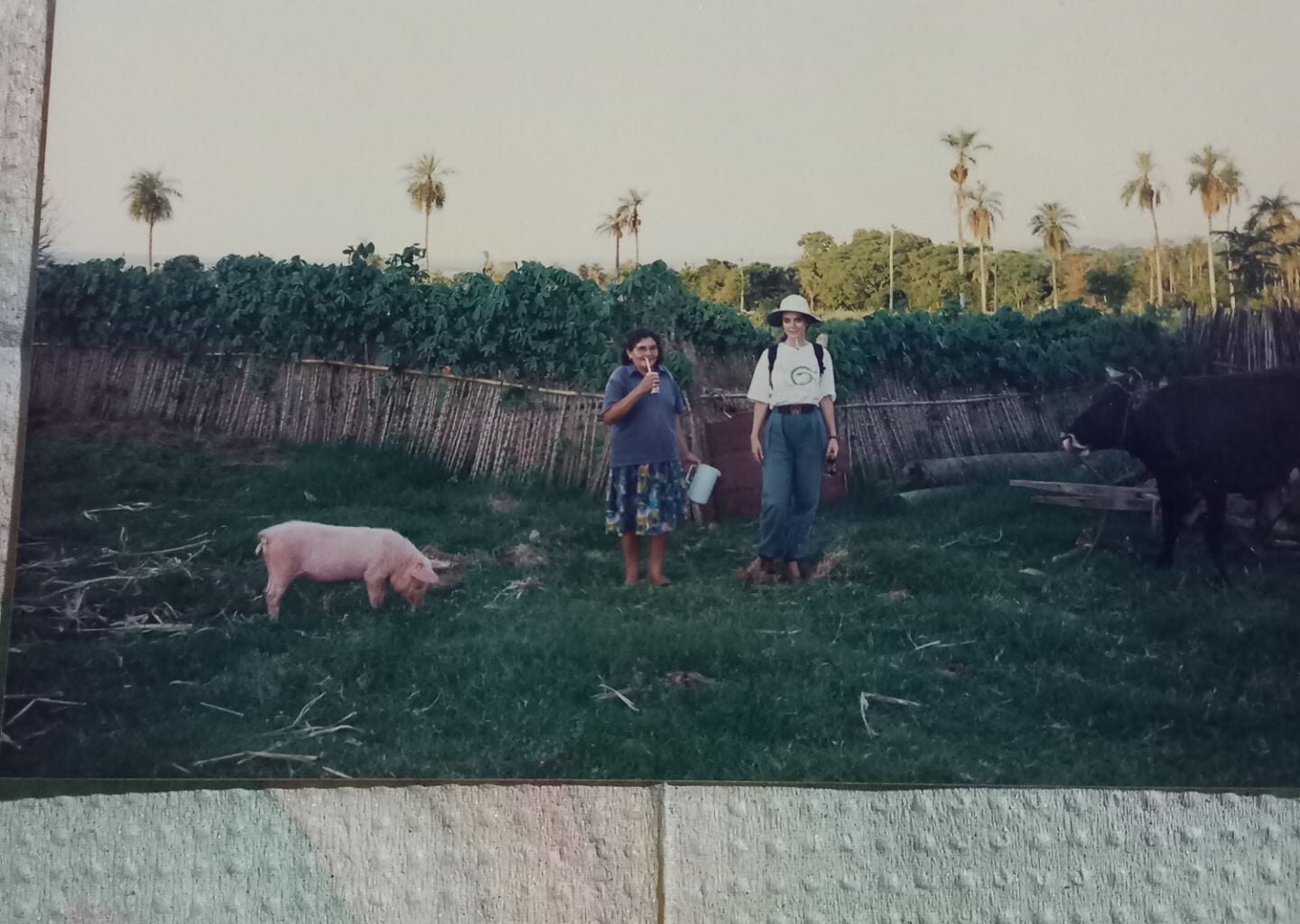 Volunteerism and Beyond | ReVista