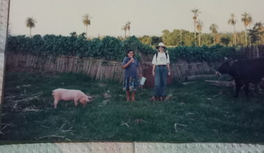 Volunteerism and Beyond | ReVista