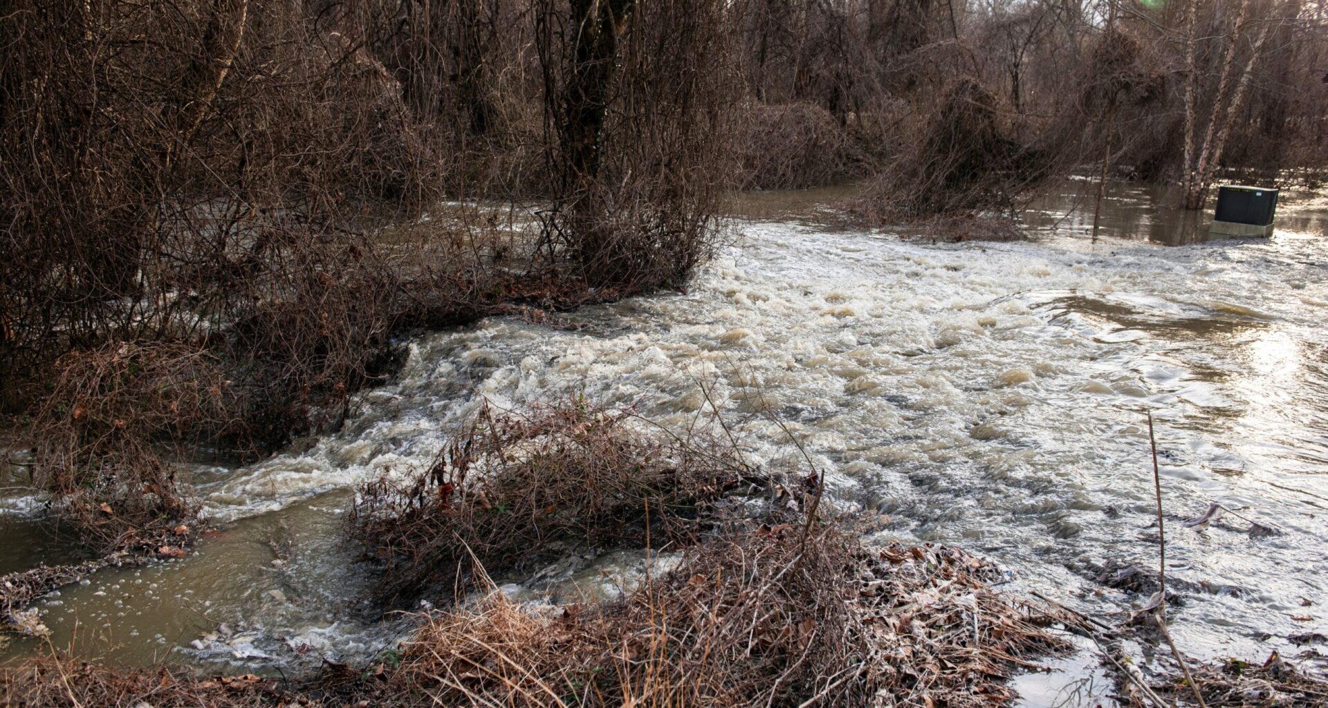 Cost to fix pipe burgeons to $30M as new testing probes full impact of sewage spill on Potomac River