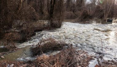 Cost to fix pipe burgeons to $30M as new testing probes full impact of sewage spill on Potomac River