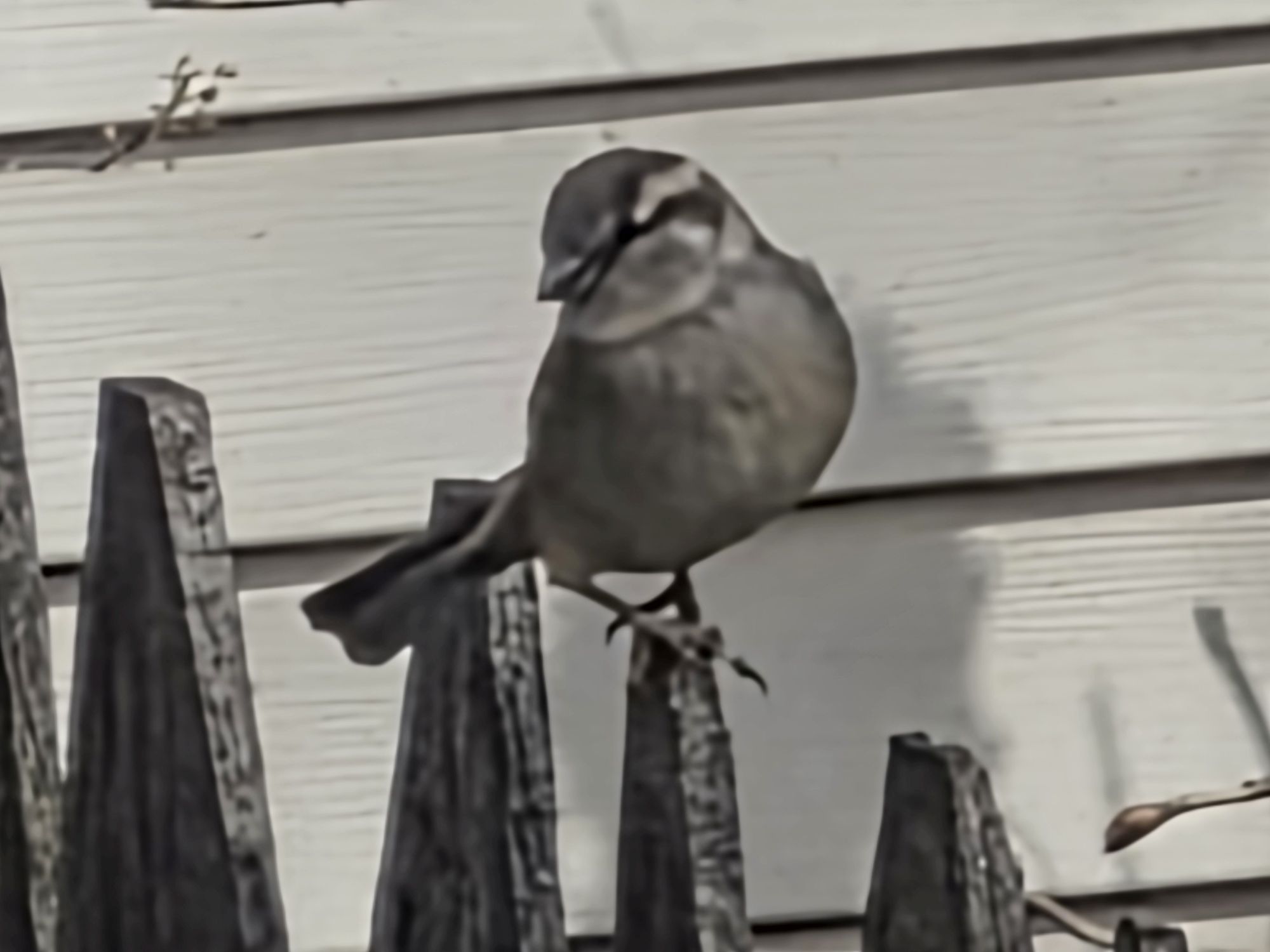 Galaxy S26 Ultra 100x sample.