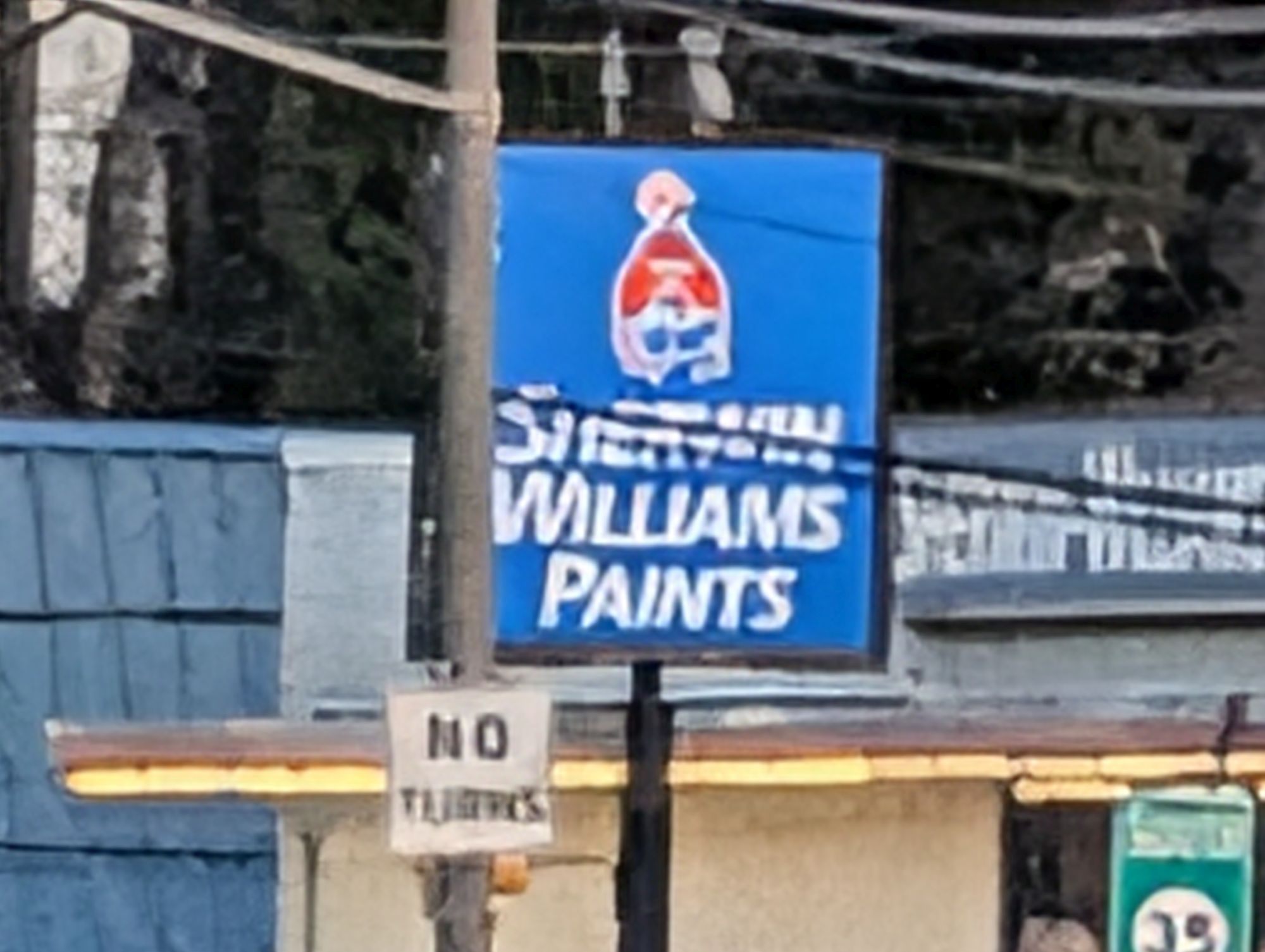 Google Pixel 10 Pro XL 100x  sample.