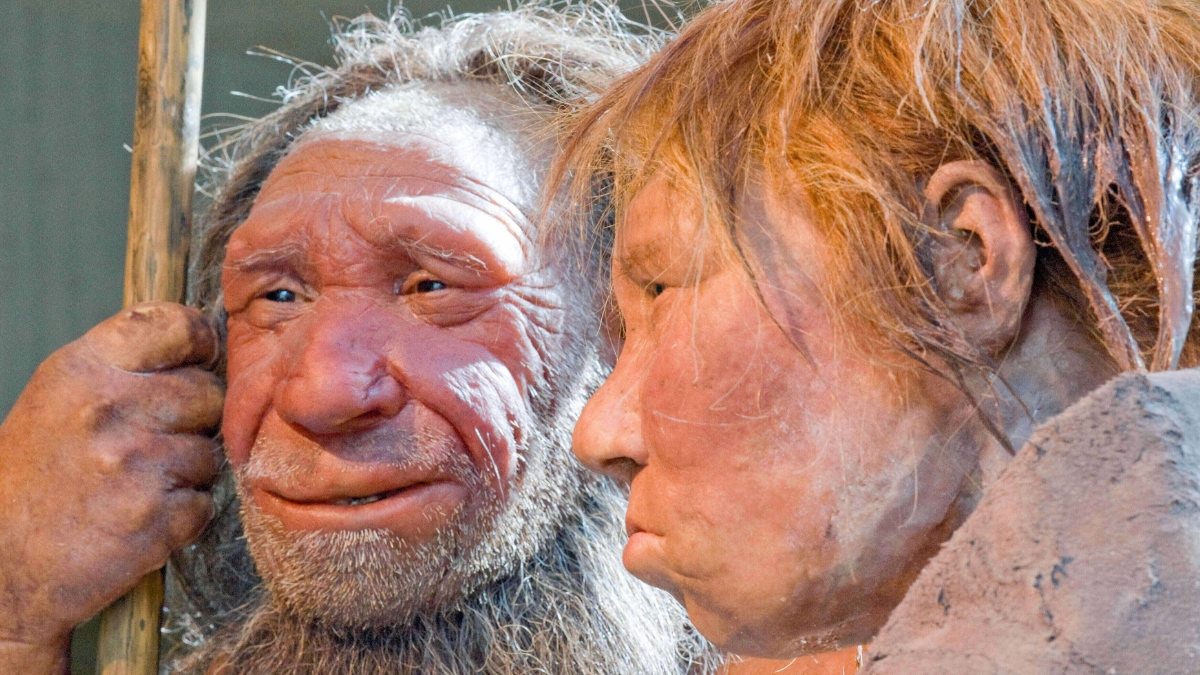 Neanderthal DNA Is Missing From Our X Chromosome. This Could Be Why. : ScienceAlert