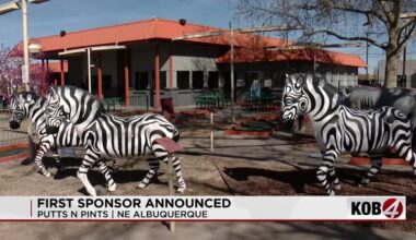 Mini golf course reopens as Putts-N-Pints with upgrades