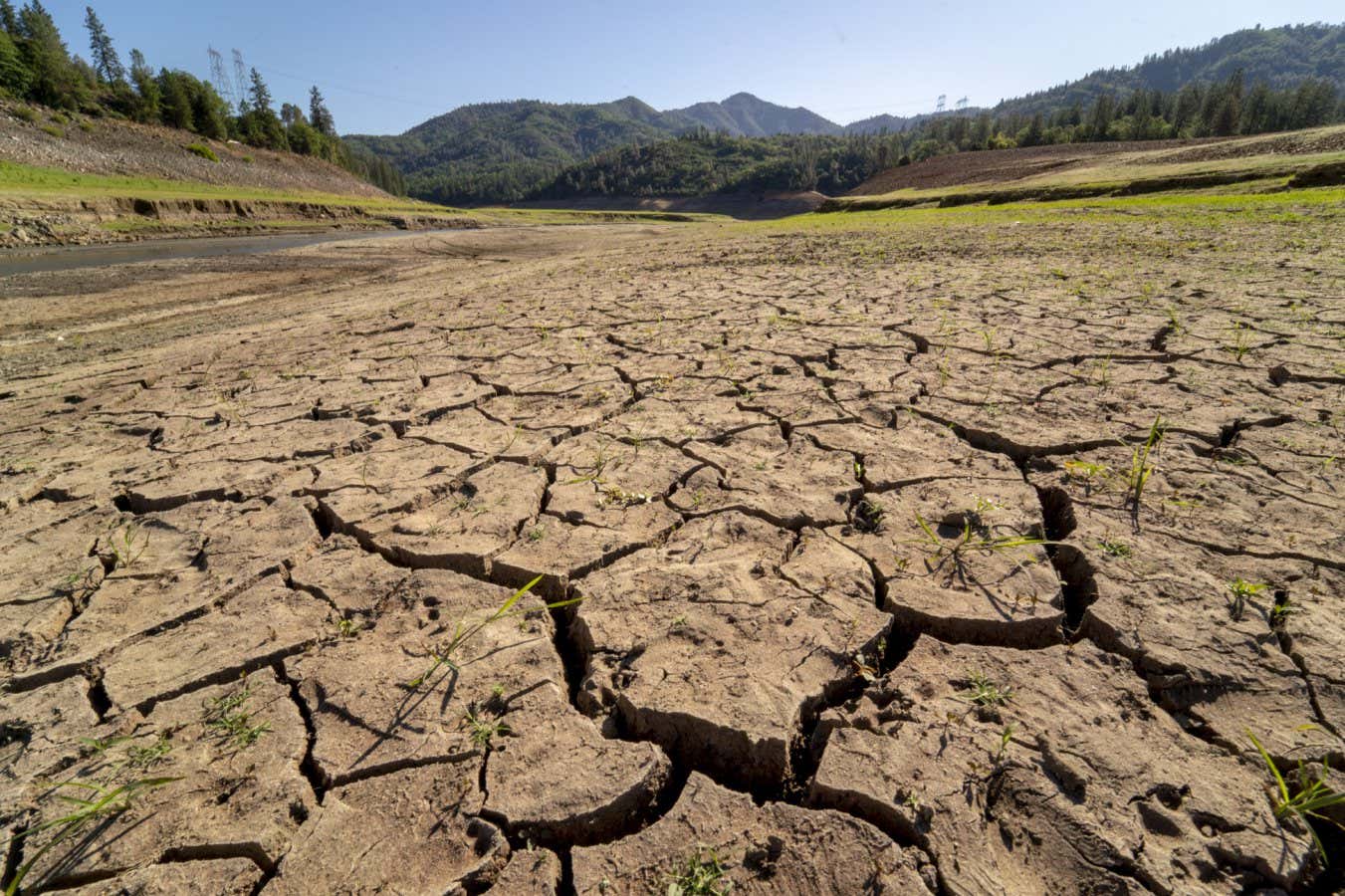 Can species evolve fast enough to survive as the planet heats up?