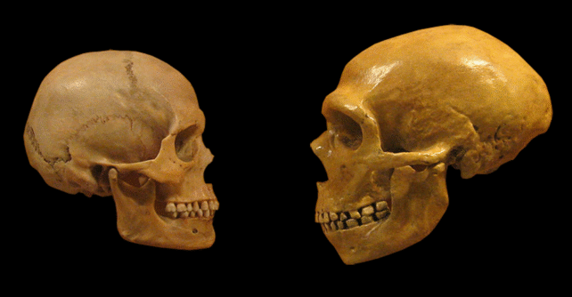 Two skulls facing each other, on a black background 