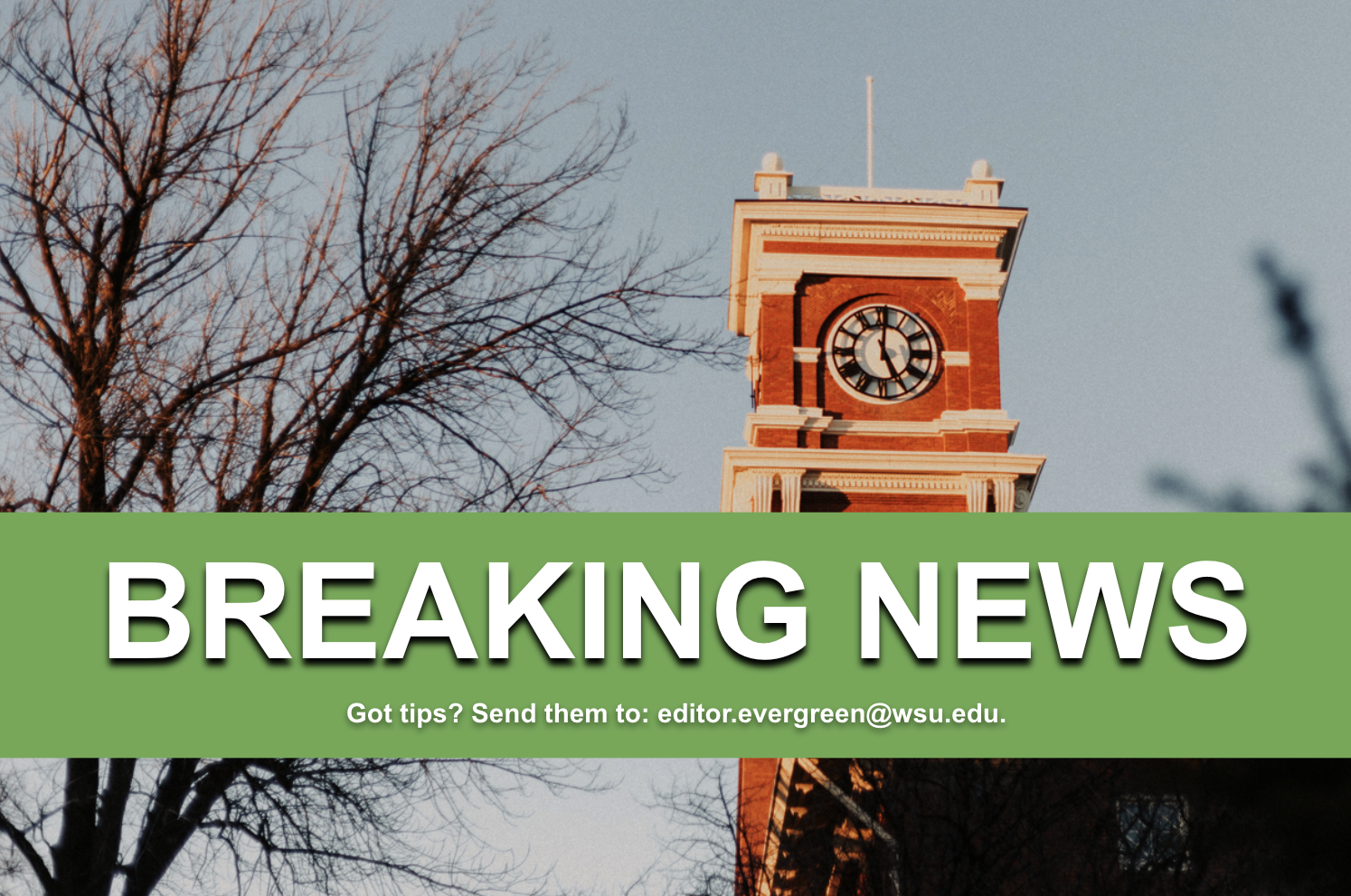 Grace Carpenter wins ASWSU presidential election – The Daily Evergreen