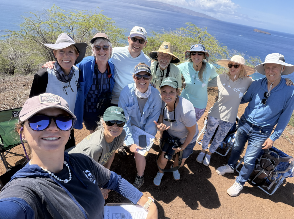 1,935 whales spotted across Hawaiʻi, 847 off Maui during second count for the 2026 season : Maui Now