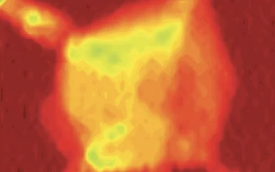 university of Houston