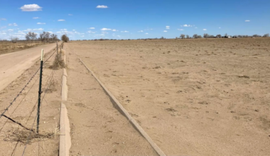 Should Colorado demand revegetation after buy and dry?