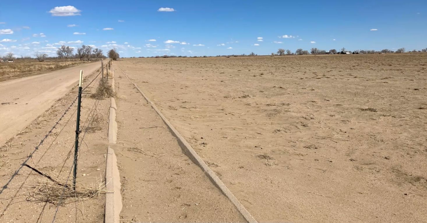 Should Colorado demand revegetation after buy and dry?