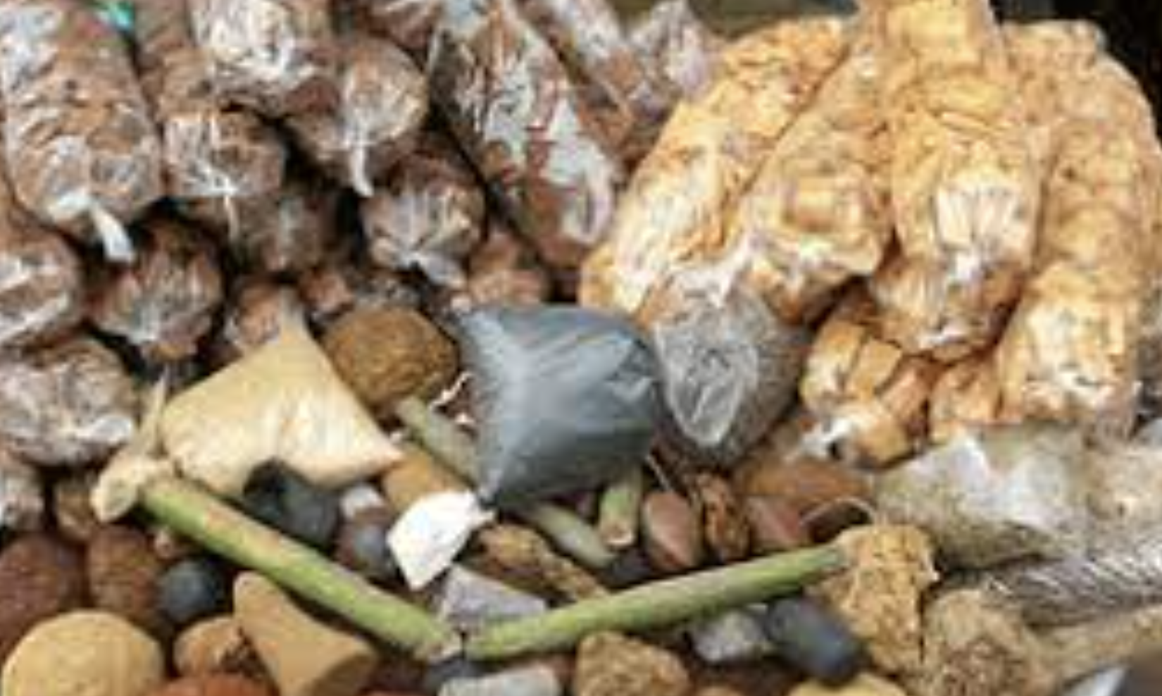 Herbal medicine is not main cause of kidney disease – Expert