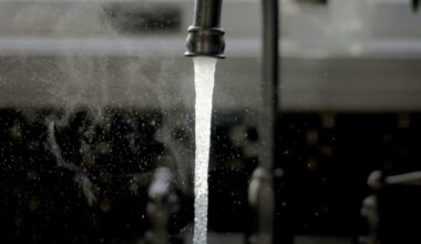 She Simply Rinsed Her Sinuses with Tap Water in Her RV—Then a Rare, Deadly “Brain-Eating” Amoeba Killed Her