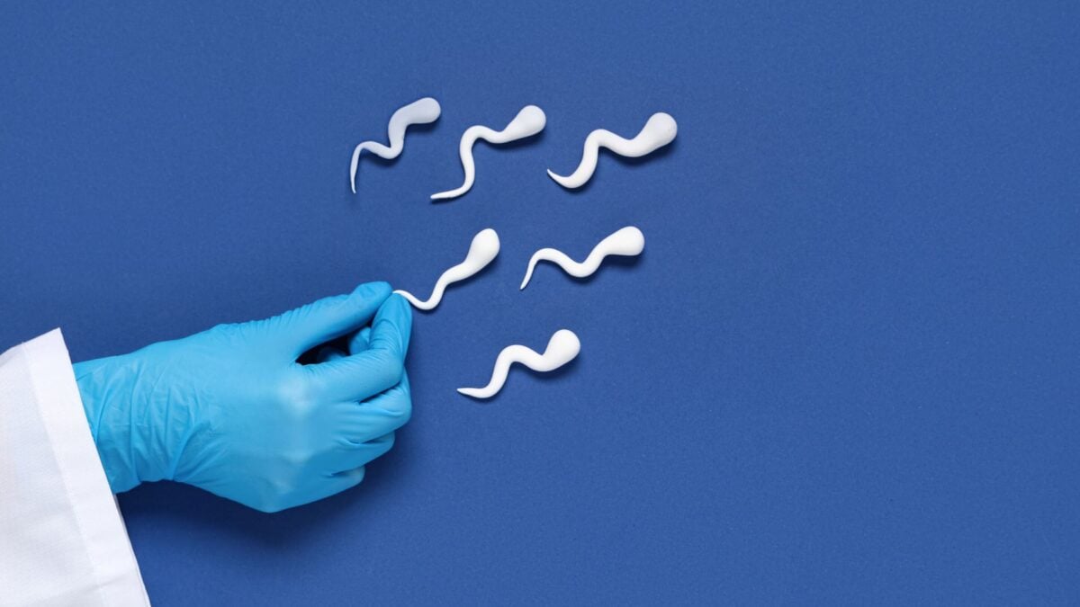 The Secret to Better Sperm? It’s Probably Already on Your Schedule