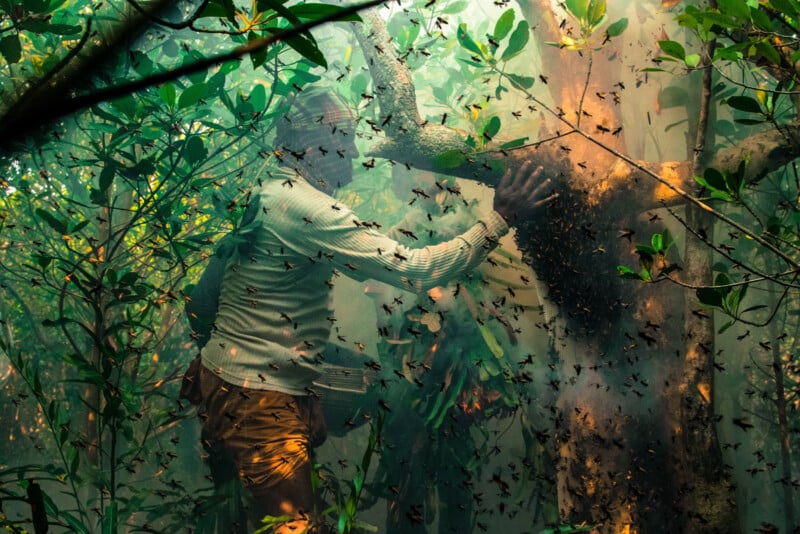 A person in a long-sleeve shirt and shorts stands in a sunlit forest, touching a tree surrounded by a swarm of bees. Sunlight filters through dense green leaves and creates a hazy, dramatic atmosphere.