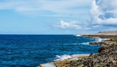 Tracked By Sound For Years, This Mysterious Deep Sea Creature Was Finally Seen Alive
