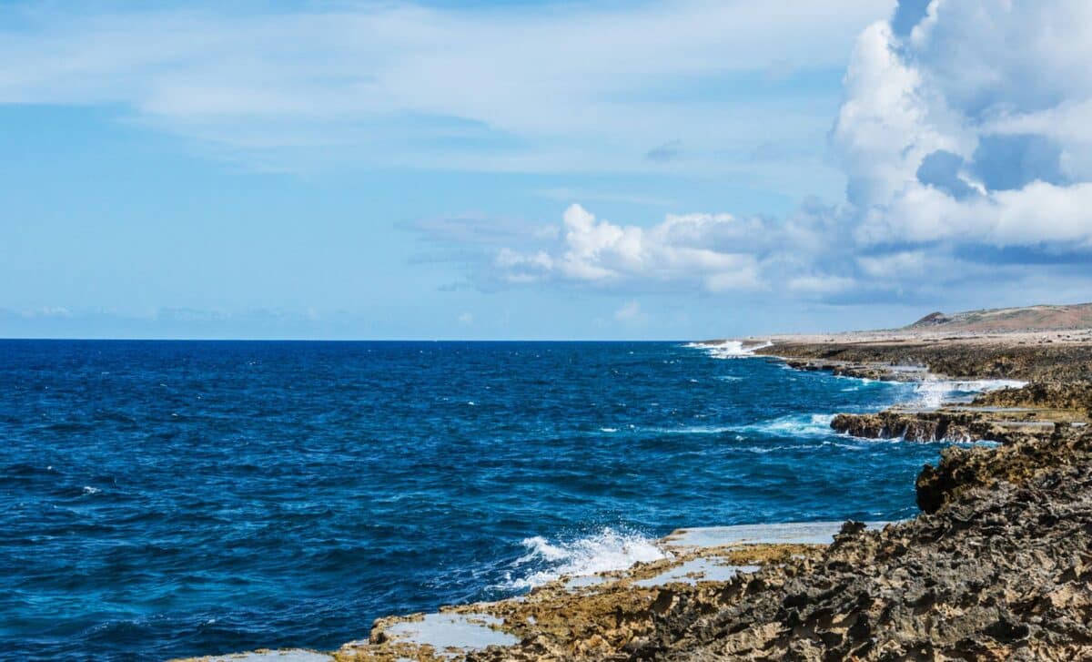 Tracked By Sound For Years, This Mysterious Deep Sea Creature Was Finally Seen Alive