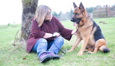german shepherd, dog smells cancer, dog saves life, wholesome, pets, culture