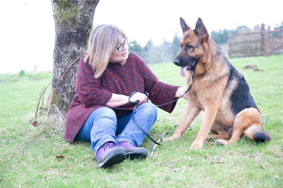 german shepherd, dog smells cancer, dog saves life, wholesome, pets, culture