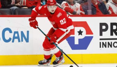 The Red Wings players most under the spotlight as playoff hunt reaches crucial week