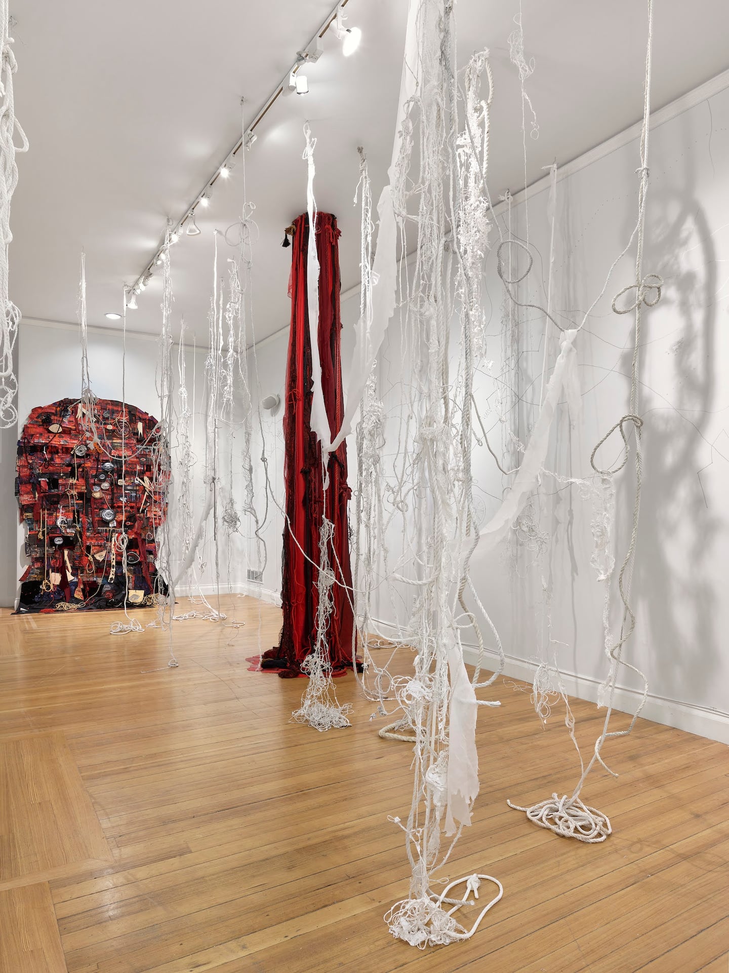 Heidi Whitman, "Ahab’s Head: American Vengeance" (installation), 2020-2025. Ink, gouache, acrylic, paper, canvas, cloth, string, rope, wood, Cinefoil, sound, and cast shadows. Dimensions variable.