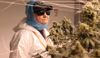 Roberta Brodin, 71, got a tour of the grow house at Thrive Dispensary in Quincy on March 5.